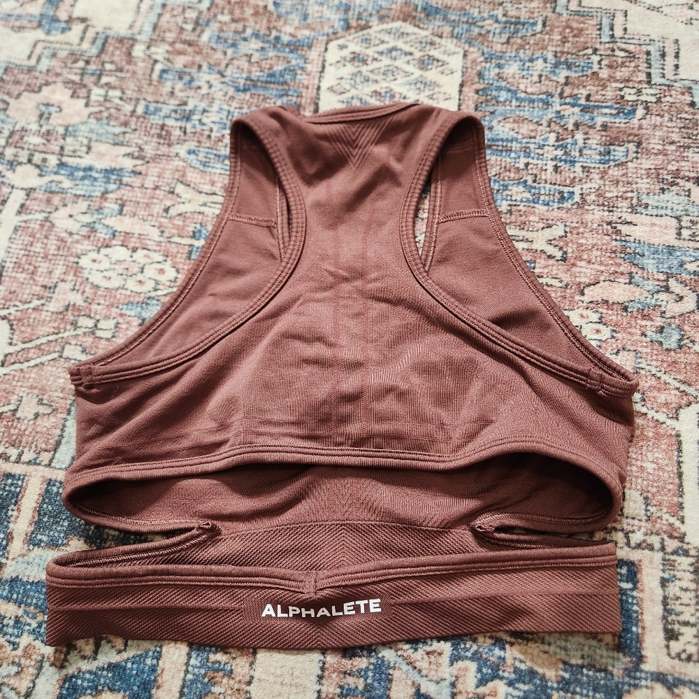 Alphalete Amplify Stratus Autumn bra small